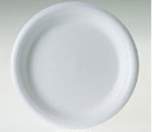 Disposable Plates Pack of 25